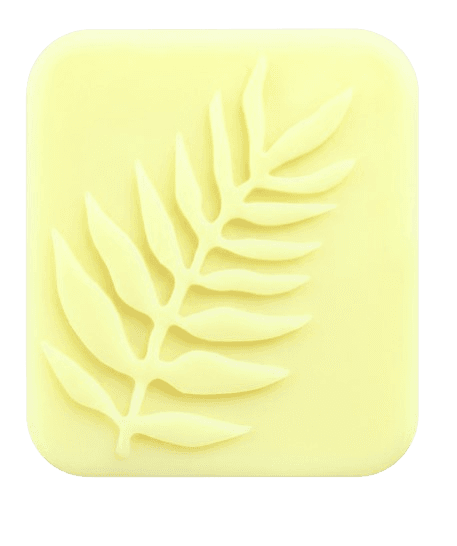 Lemon soap bar