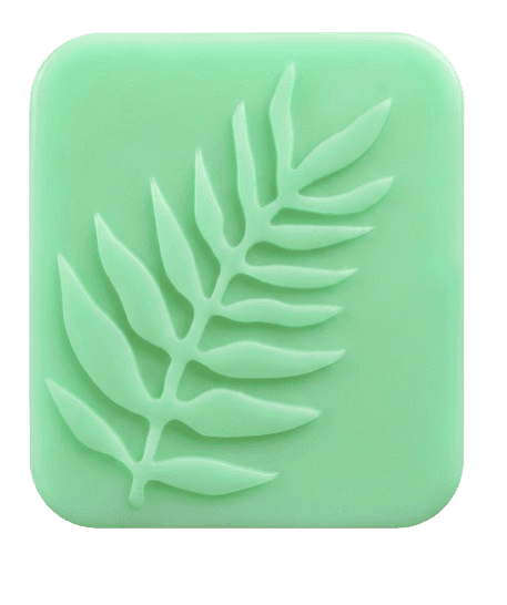 Mint soap bar