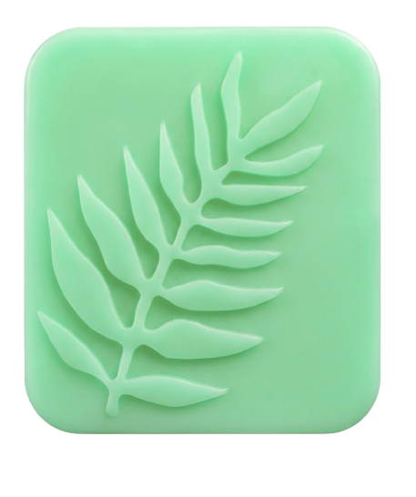Mint soap bar